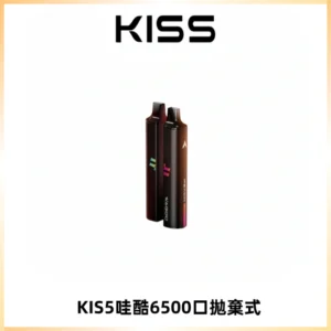 KIS5WAGOO哇酷6500口拋棄式 | 自由混搭雙口味 | 雙芯組合